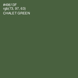 #49613F - Chalet Green Color Image